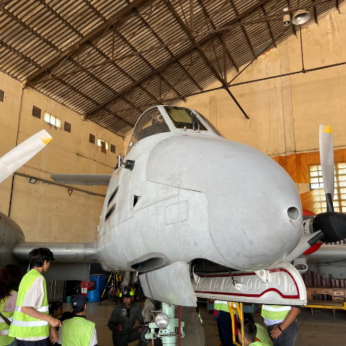 Edición 2025 - Foto 6