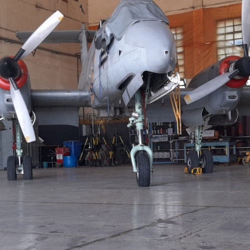 Edición 2025 - Foto 7