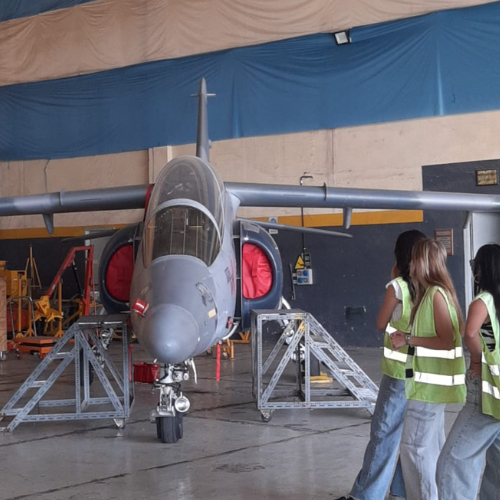 Edición 2025 - Foto 8